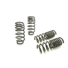 Eibach Pro-Kit for 11-14 Dodge Charger 2WD V6 / 2WD V8 (Will Not Effect Vehicle Height On Scat Pack) 28105.140