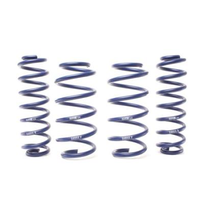 Category Lift Springs image